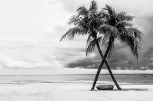 black_white 020