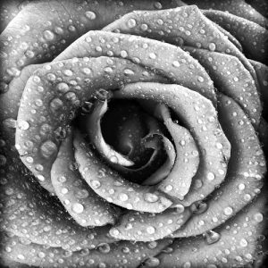 black_white 032