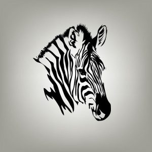 black_white 033