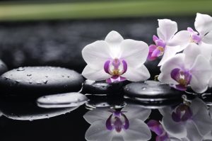 flowers 058