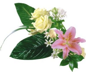 flowers 163