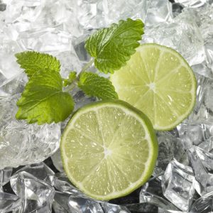 food 008