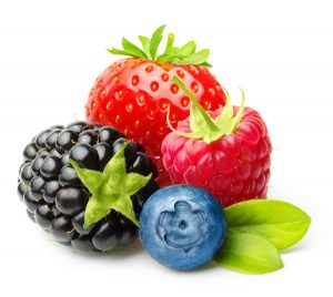 food 036