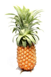 food 040