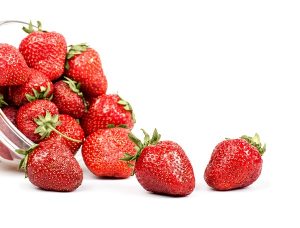 food 041