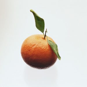 food 055