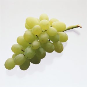 food 059