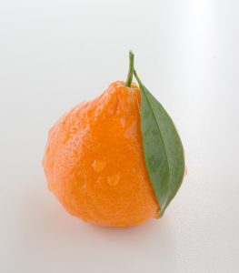 food 062