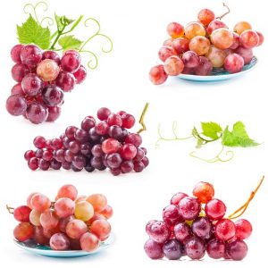food 067