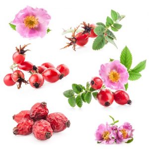 food 068