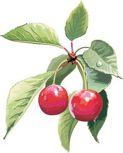 food 076
