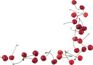 food 077