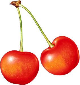 food 079