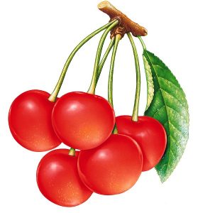 food 080