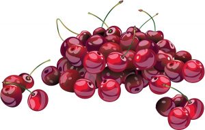 food 081