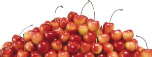 food 082