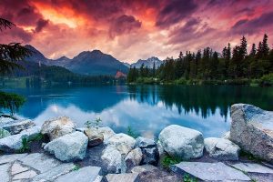 landscape 044